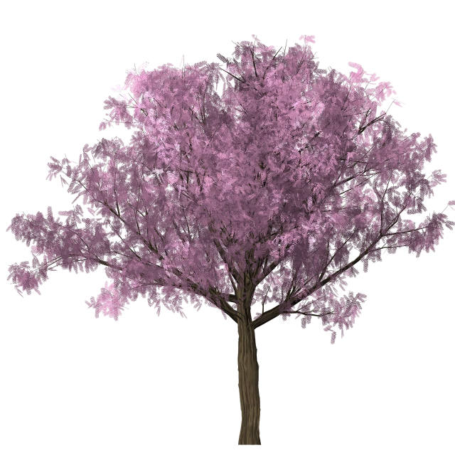 a purple tree on a black background, a raytraced image, sakura season dynamic lighting, image dataset, image, (pink colors)