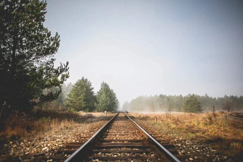 a train track in the middle of a field, romanticism, foggy forrest backdrop, low angle photo, distant forest horizon, dust and sand in the air