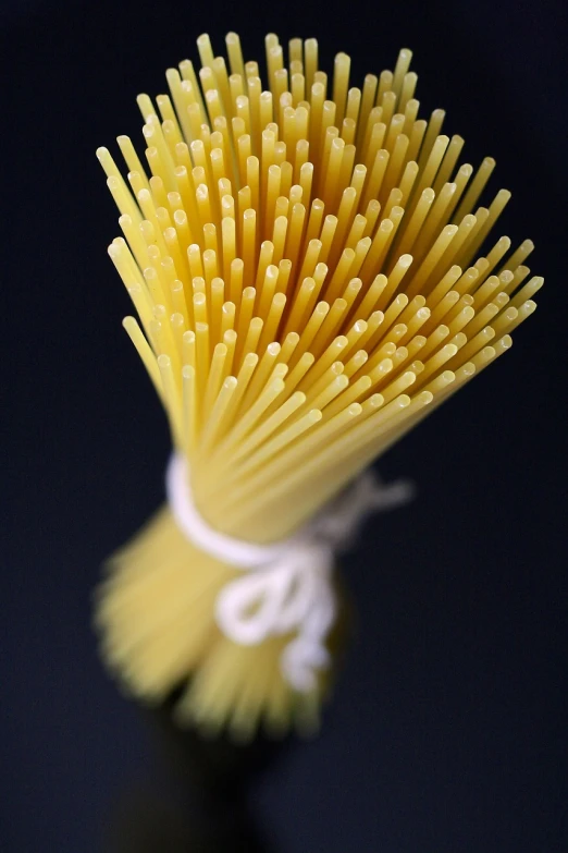 a close up of a bunch of spaghetti noodles, by Jan Rustem, flickr, rasquache, delicate and precise brushwork, broomstick, sponge, rays
