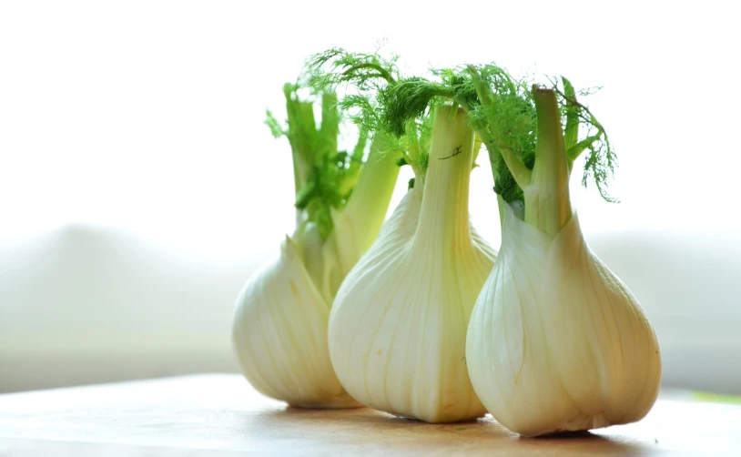 a group of onions sitting on top of a cutting board, a picture, by Harold von Schmidt, pixabay, renaissance, salad and white colors in scheme, tendrils in the background, alien-like, very crisp