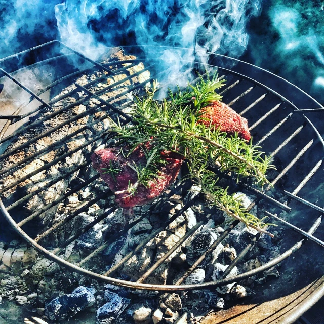 a close up of a grill with meat and vegetables on it, by Romain brook, renaissance, herbs, floor grills, on set, ❤🔥🍄🌪