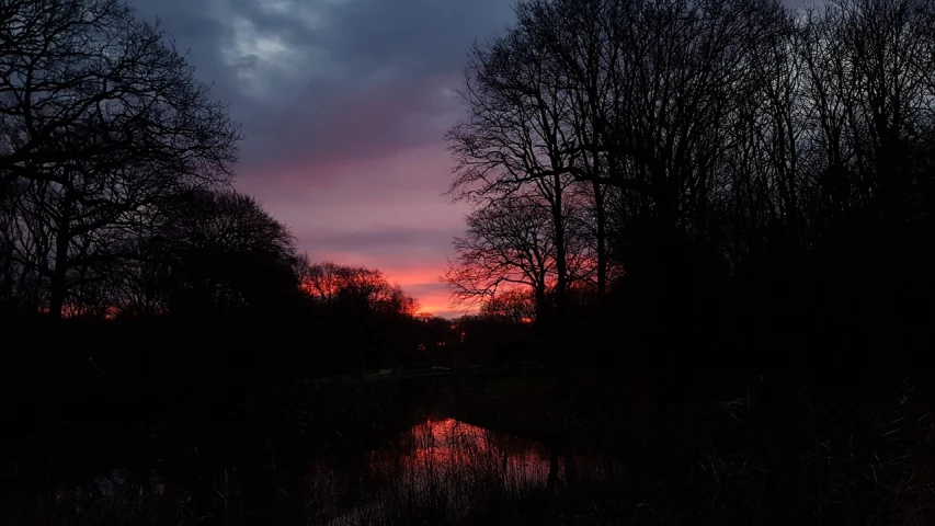 a body of water surrounded by trees under a cloudy sky, a picture, by Jan Pynas, redpink sunset, dark winter evening, # nofilter, wet puddles reflecting