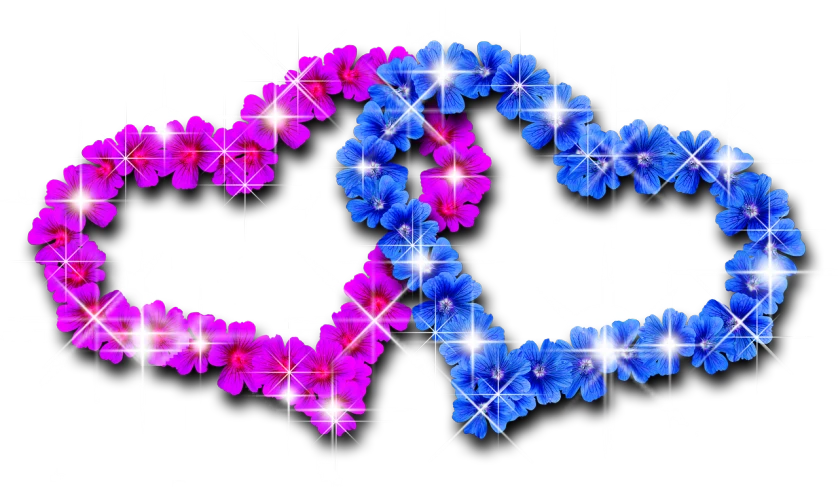 a couple of purple and blue flowers on a black background, inspired by Lisa Frank, flickr, digital art, floating symbols and crystals, thick glowing chains, pink and blue colour, infinity symbol