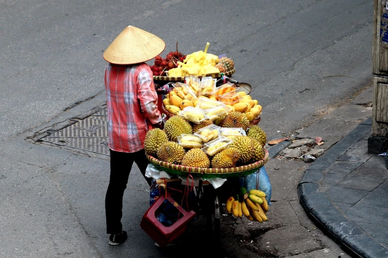 a person pushing a cart full of fruit, a picture, wearing huge straw hat, at a city street, unedited, long chin