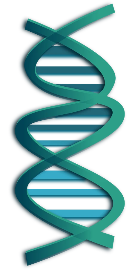 a green spiral shaped object on a black background, a digital rendering, pixabay, dna, blue-black, vertical, flat color