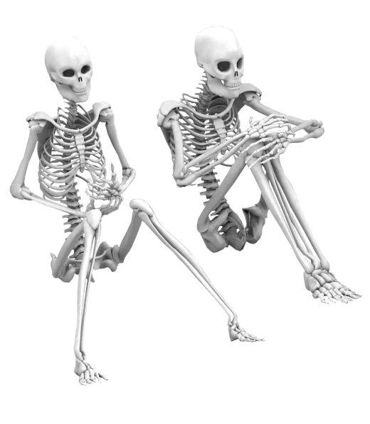 a couple of skeletons sitting next to each other, an ambient occlusion render, by Aleksander Gierymski, fine art, stereogram, sitting cross-legged, fbx, 2 0 5 6 x 2 0 5 6