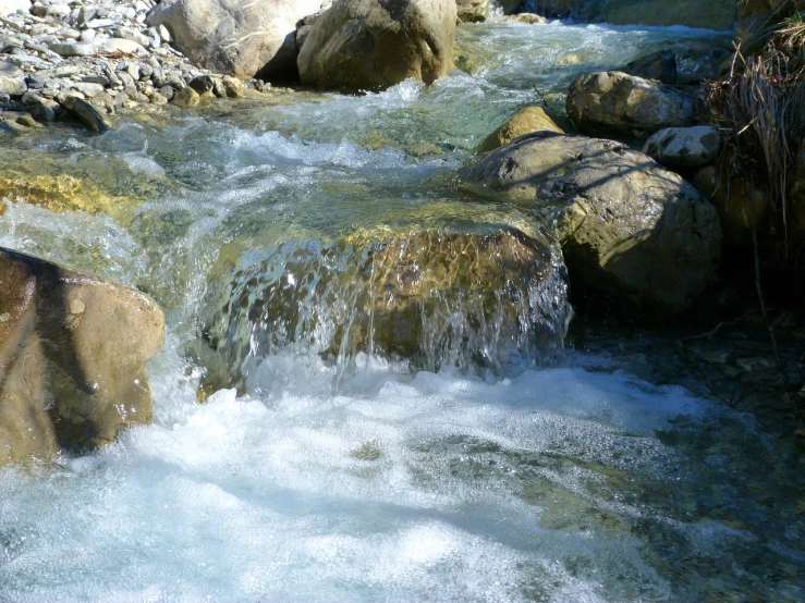 a brown bear standing on top of a rock next to a river, a picture, hurufiyya, sparkling in the flowing creek, god\'s creation, water flowing through the sewer, blue and green water