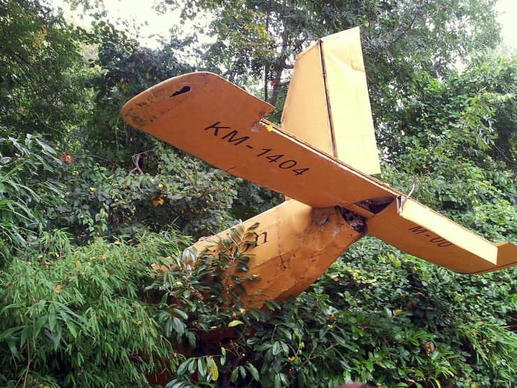 a yellow airplane sitting on top of a lush green forest, flickr, hurufiyya, deteriorated, replica model, kuntilanak, n- 4