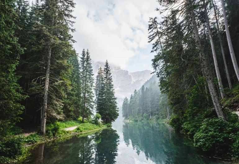 a body of water surrounded by trees and mountains, a picture, by Sebastian Spreng, pexels, romanticism, spruce trees on the sides, detailed forest background, in the swiss alps, serene overcast atmosphere