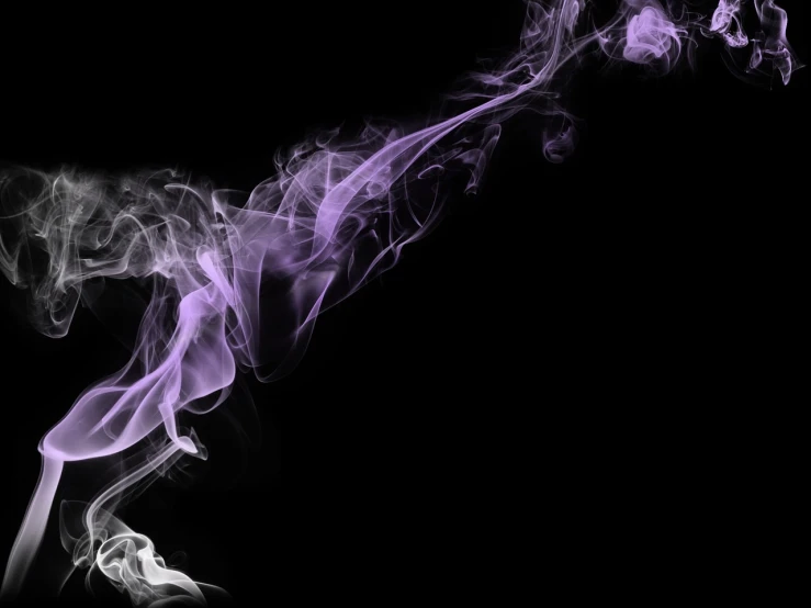 a close up of smoke on a black background, digital art, white and purple, right side composition, family photo, educational