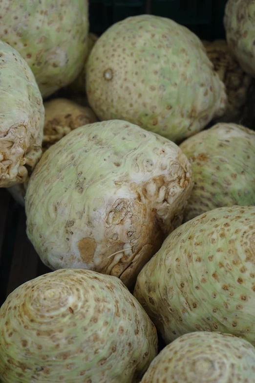 a close up of a bunch of cabbages, a picture, by Carol Sutton, mingei, trypophobia acne face, strong eggshell texture, walnuts, closeup photo