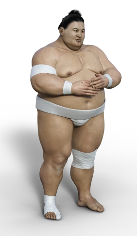 an image of a sumo wrestler posing for a picture, a 3D render, shin hanga, photo 3d, full body photo, rubenesque, with arms bare