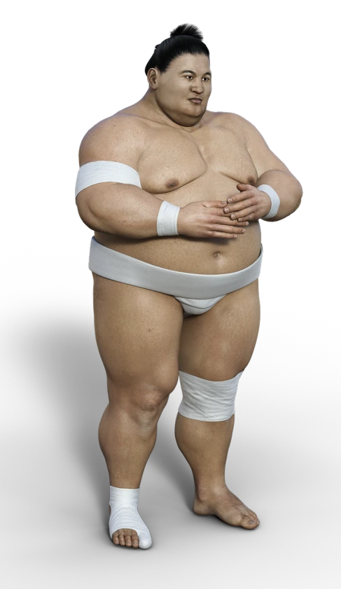 an image of a sumo wrestler posing for a picture, a 3D render, shin hanga, photo 3d, full body photo, rubenesque, with arms bare