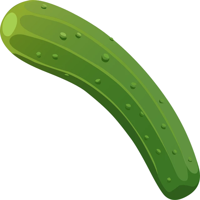 a cucumber on a black background, an illustration of, conceptual art, wikihow illustration, attached tail, cartoon style illustration, instrument