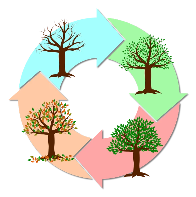 the four stages of a tree cycle, a diagram, ecological art, on a flat color black background, illustration, four seasons, devastation
