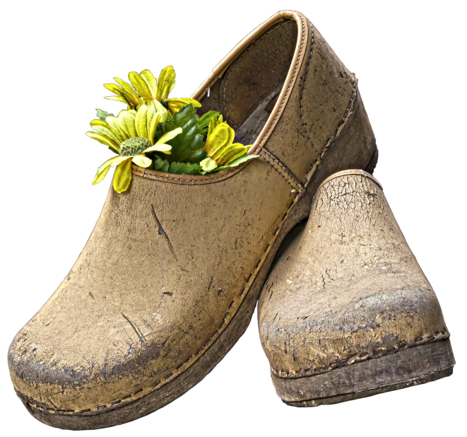 a pair of dirty shoes with flowers in them, a digital rendering, by Robert Medley, pixabay, clogs, high res photo, full body close-up shot, the art of skinner