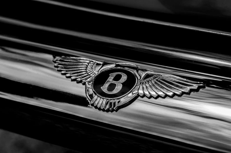 a black and white photo of a bentley emblem, a black and white photo, pexels contest winner, ruffled wings, monochrome:-2, shot at golden hour, symmetric!!