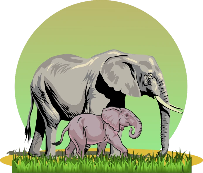 a baby elephant standing next to an adult elephant, an illustration of, by Leonard Long, shutterstock, pop art, standing in the grass at sunset, on a flat color black background, sharp high detail illustration, cartoon style illustration