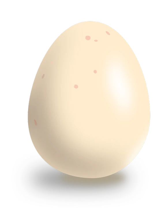 a white egg sitting on top of a black plate, an illustration of, mingei, computer generated, eggshell color, pallid skin, rounded beak