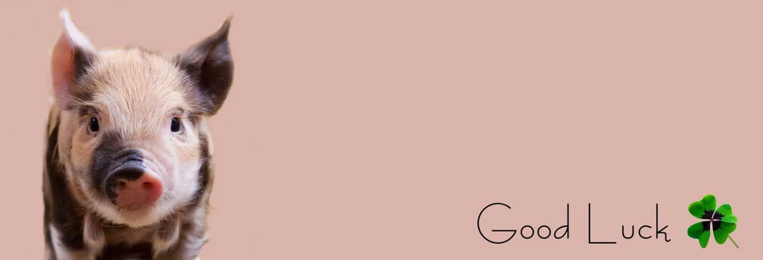 a pig that is looking at the camera, an album cover, inspired by Gentile Bellini, minimalism, 🌺 cgsociety, light blush, - g, minimalist logo without text