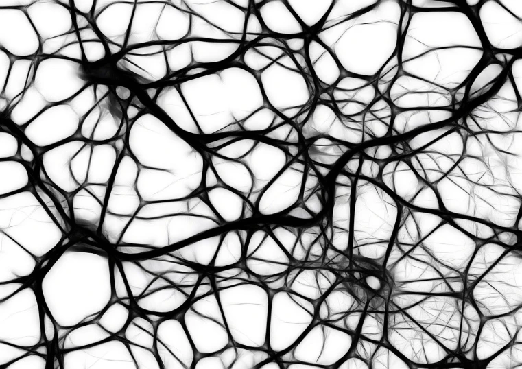 a black and white photo of the branches of a tree, generative art, cells, hq 4k phone wallpaper, neuron, cracks