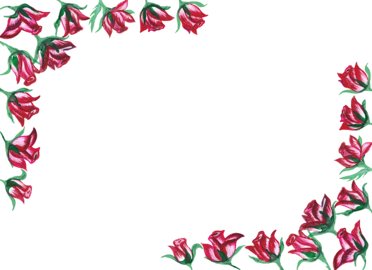 a circle of red flowers on a white background, a digital rendering, corner, loosely drawn, rose background, emerald