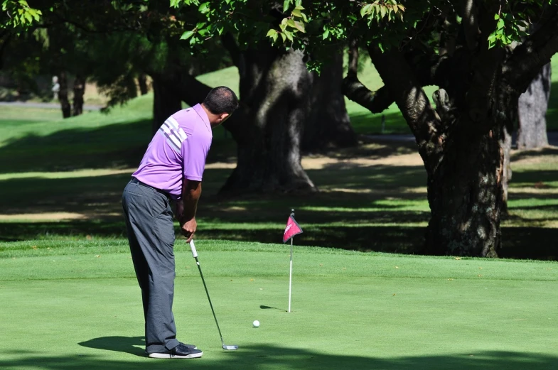 a man in a purple shirt is playing golf, flickr, happening, oregon, hispanic, off - putting, performance