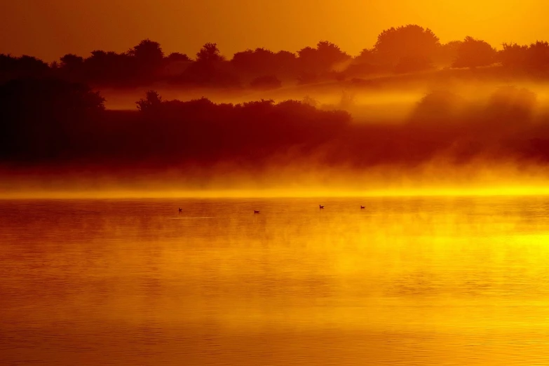 a group of ducks floating on top of a lake, by Zoran Mušič, flickr, romanticism, light orange mist, the morning river, orange yellow ethereal, landscape wallpaper