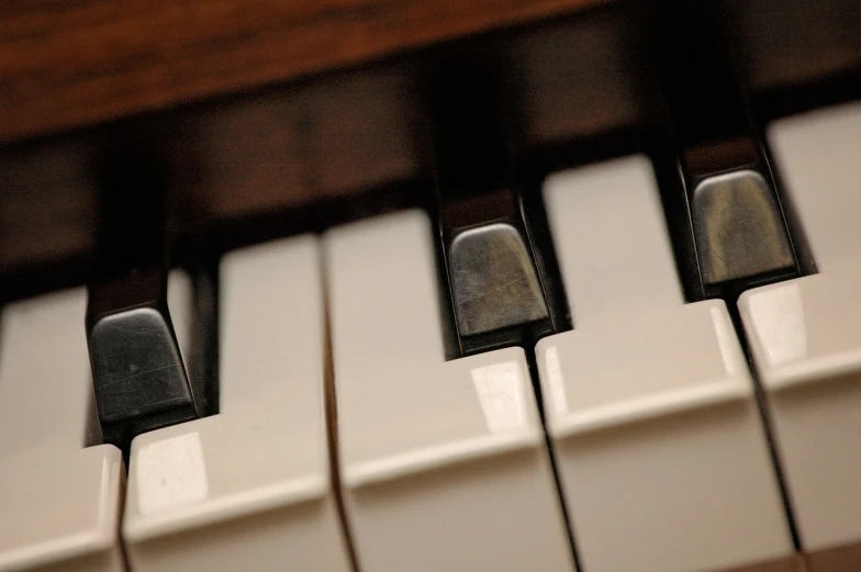 a close up of the keys of a piano, a macro photograph, by Robert Medley, nice afternoon lighting, header, distant - mid - shot, hires