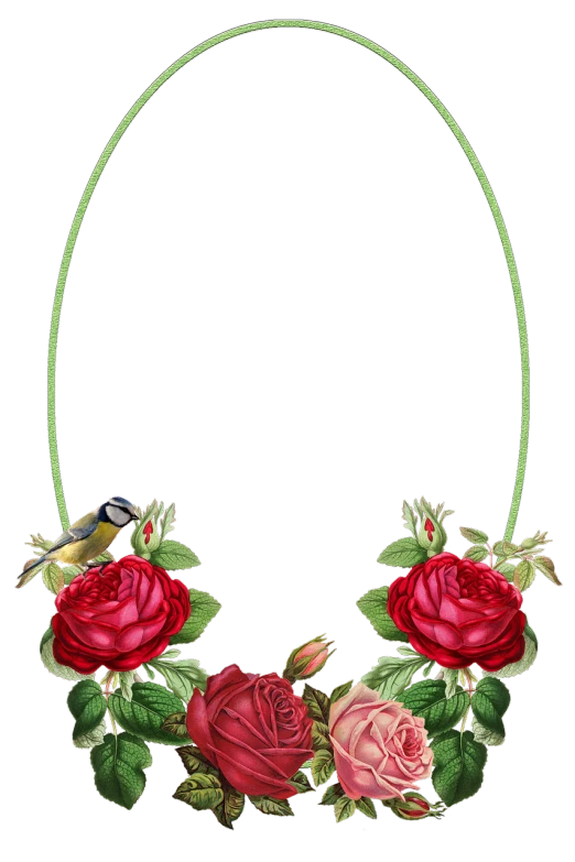 a bird sitting on top of a red rose wreath, a digital rendering, romanticism, neck chains, closeup - view, flower frame, the background is black