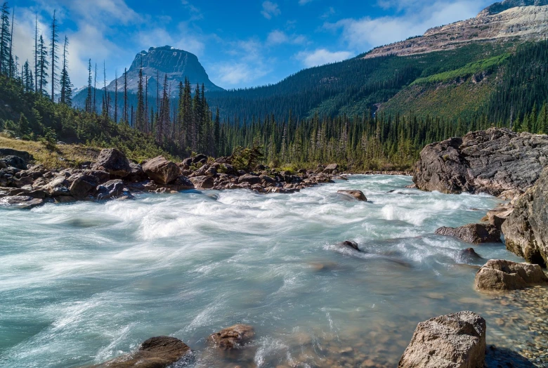 a river flowing through a lush green forest filled with trees, by Raymond Normand, glacier national park, towering waves, f/4, yeg