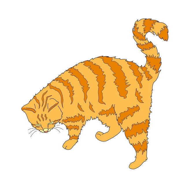 a drawing of a cat on a black background, an illustration of, mingei, ginger cat, full color illustration, hurricane, accurate illustration