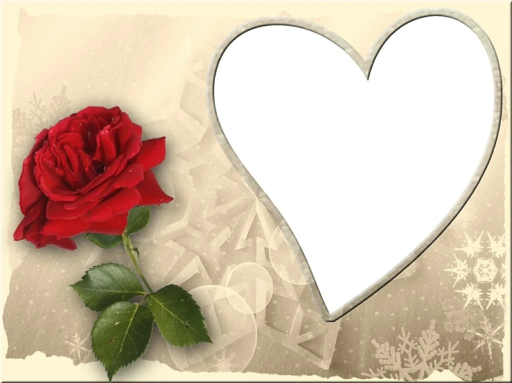 a red rose sitting next to a white heart, a picture, beautiful frames, full screen, beige, collage
