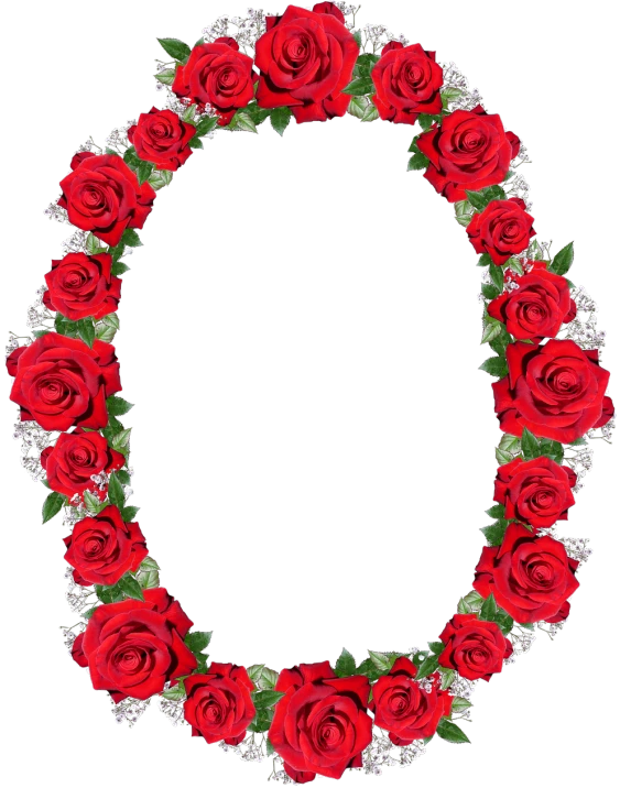 a wreath of red roses on a black background, a digital rendering, oval face, osl, 💣 💥, frame around picture
