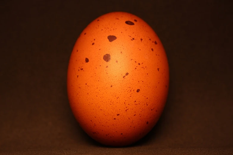 a close up of an egg on a table, by Harold von Schmidt, flickr, dark orange, sunstone, highly detailed product photo, brown body