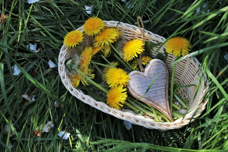 a basket filled with yellow flowers next to a heart, land art, dandelion, close-up from above, hunting, lying on the grass