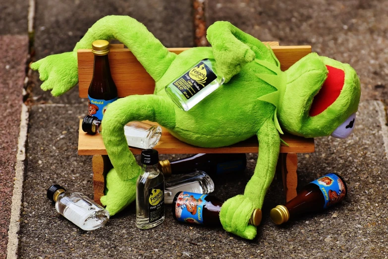 a stuffed frog sitting on top of a wooden bench, by Werner Gutzeit, pexels, happening, bottles of alcohol next to him, obviously drunk, kermit, year 2134