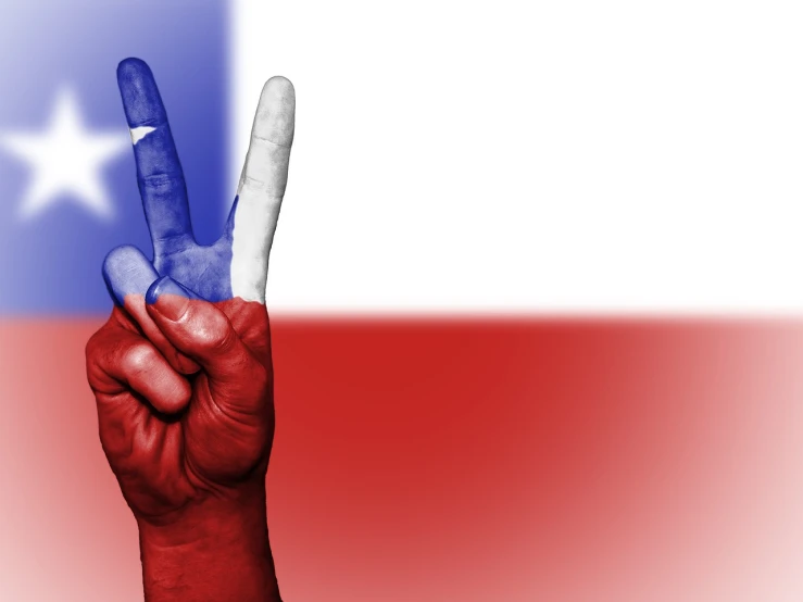 a hand with a peace sign painted on it, by Matteo Pérez, stuckism, the texas revolution, chilean, tricolor background, very sharp photo