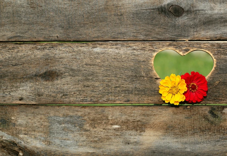 a heart shaped flower sitting on top of a wooden table, a picture, by Dietmar Damerau, trending on pixabay, red green yellow color scheme, beautiful wooden frame, flowery wallpaper, marigold background