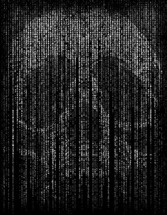 a black and white photo of a computer screen, a digital rendering, by Ryoji Ikeda, pixabay, ascii art, fantasy skull, wallpaper mobile, matrix text, trinity from the matrix