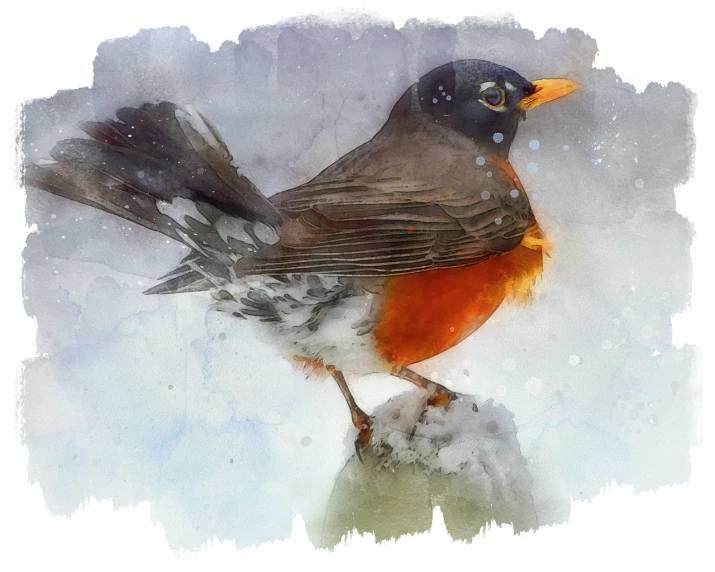 a bird sitting on top of a piece of snow, a digital painting, inspired by Charles Bird King, ((water color)), robin, portrait shot, edited