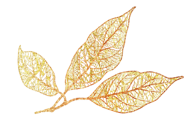 a close up of a leaf on a black background, a digital rendering, by Susan Heidi, generative art, gold embroidery, glitter gif, leaves on branches, trio