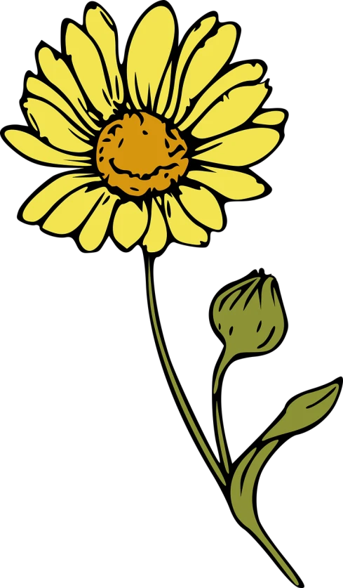 a yellow flower on a black background, an illustration of, by Tom Carapic, pixabay, minimalism, colored woodcut, chamomile, tall flowers, high res photo