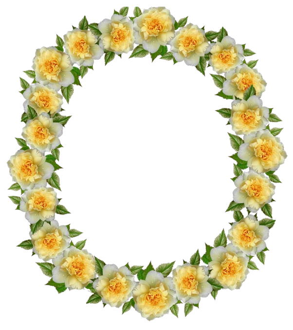 a wreath of yellow and white flowers on a black background, a digital rendering, oval face, black rose frame. d&d, full res, image dataset