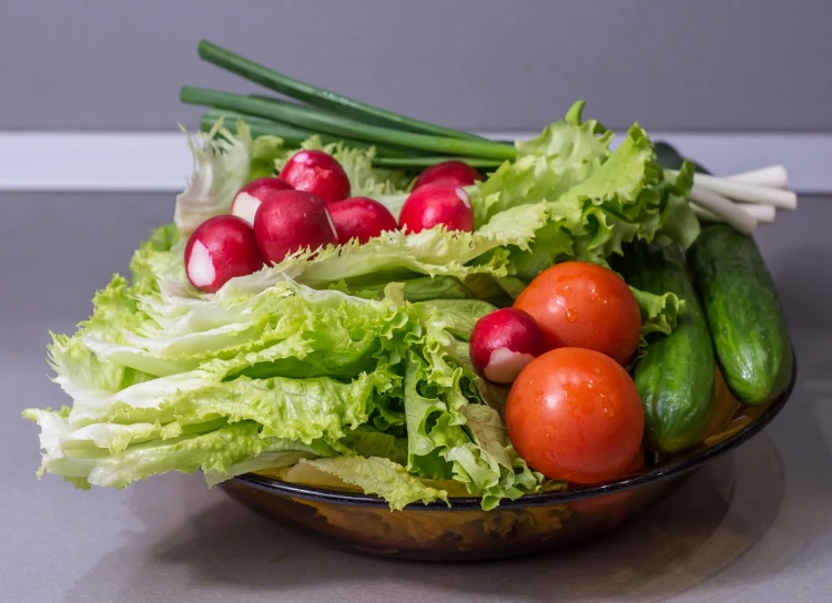 a bowl filled with lettuce, tomatoes and cucumbers, a still life, by Stefan Gierowski, pixabay, bauhaus, aspic on plate, spring vibrancy, ruffles, confident holding vegetables
