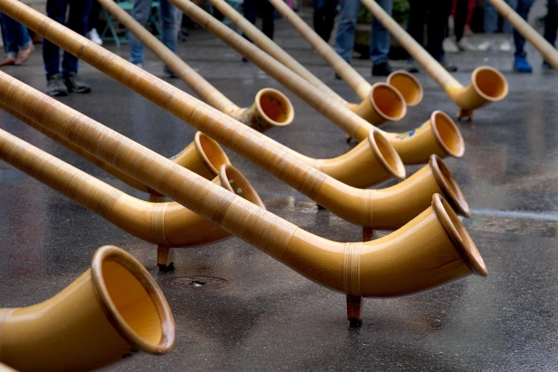 a group of trumpets lined up next to each other, a picture, by Etienne Delessert, bamboo, pvc, parade, closeup photo