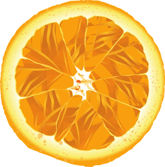 an orange cut in half on a black background, vector art, by Gavin Hamilton, process art, winter sun, deviantar, optimus sun orientation, orange roof