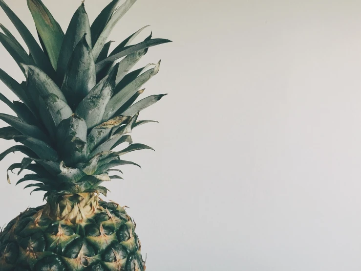 a pineapple sitting on top of a table, a picture, postminimalism, white backround, view from the side”, iphone photo