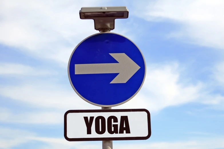 a street sign with an arrow pointing in opposite directions, by Eva Gonzalès, shutterstock, dada, yoga meditation pose, indigo, vga, full subject shown in photo