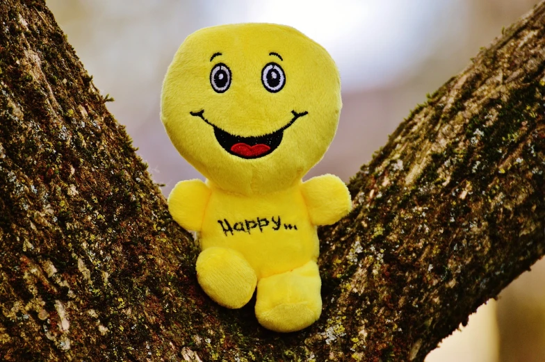 a yellow stuffed toy sitting on top of a tree, a picture, by Harry Beckhoff, pixabay, happening, smiling mouth, sarcastic smiling, photograph credit: ap, happy people
